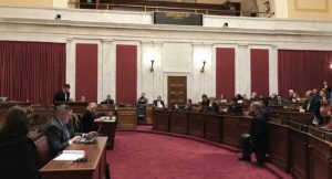 W.Va. foster care bill is focus of packed public hearing